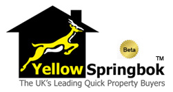 Yellow Springbok Support Center
