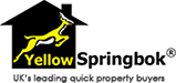 Yellow Springbok